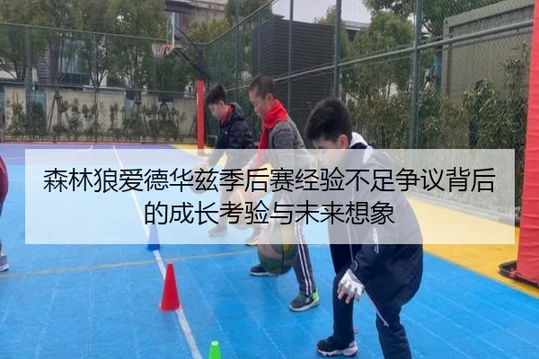 森林狼爱德华兹季后赛经验不足争议背后的成长考验与未来想象